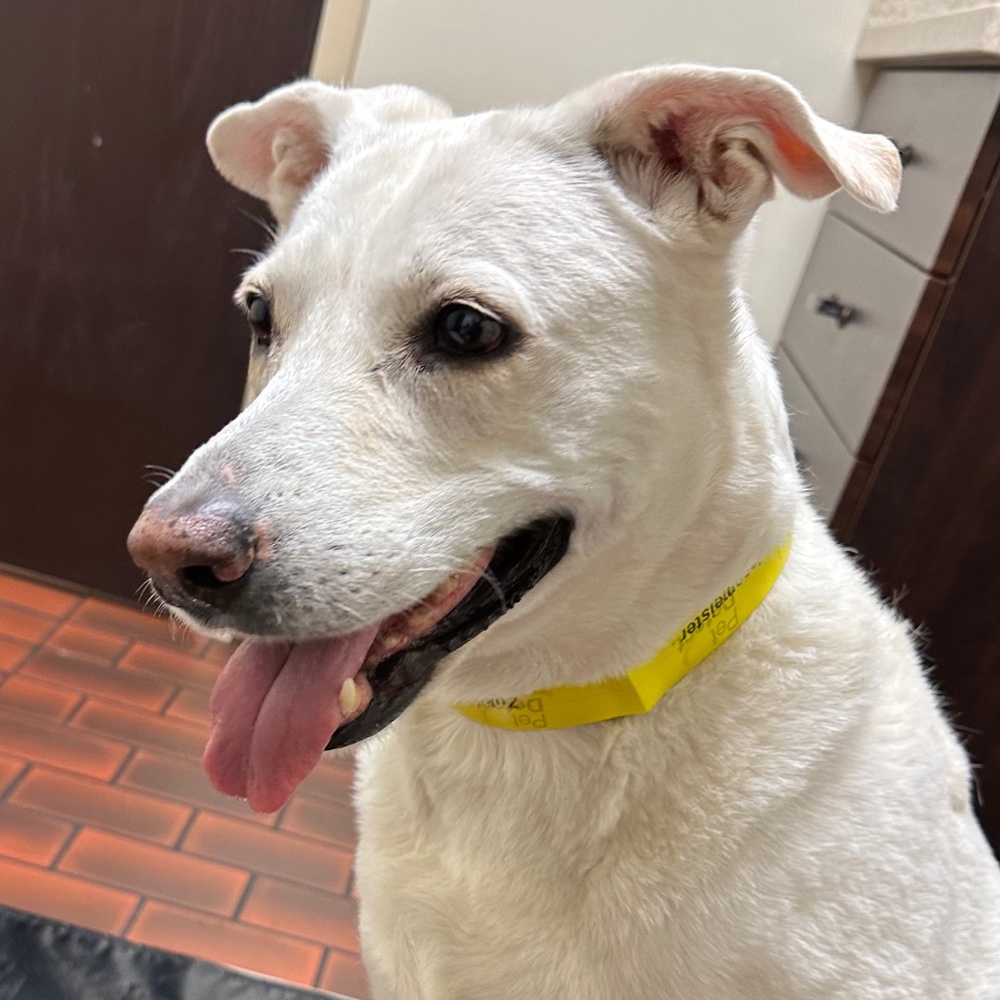 Meet your Posher, Jeff